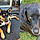 Manny And Meja