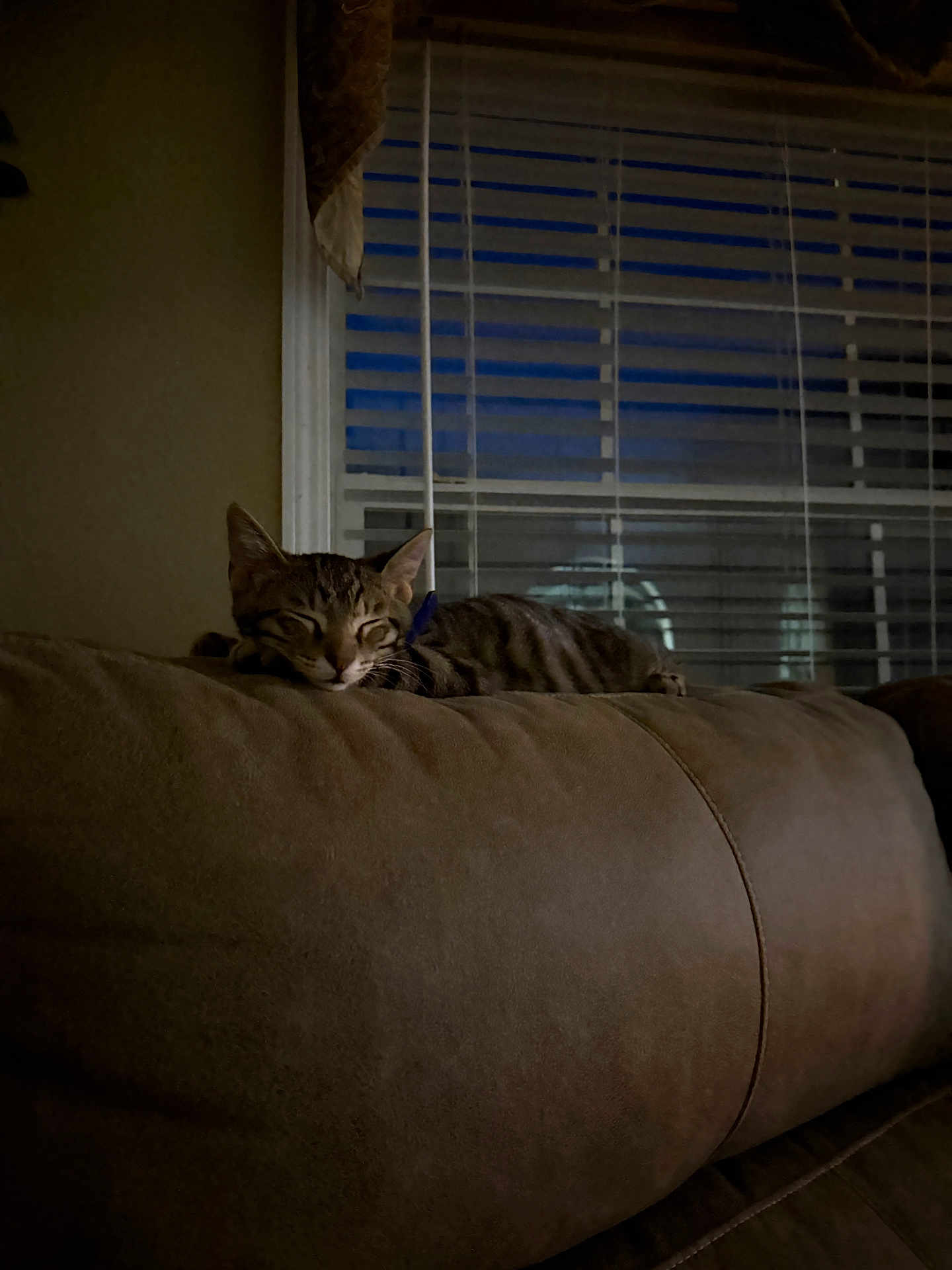 Mookie