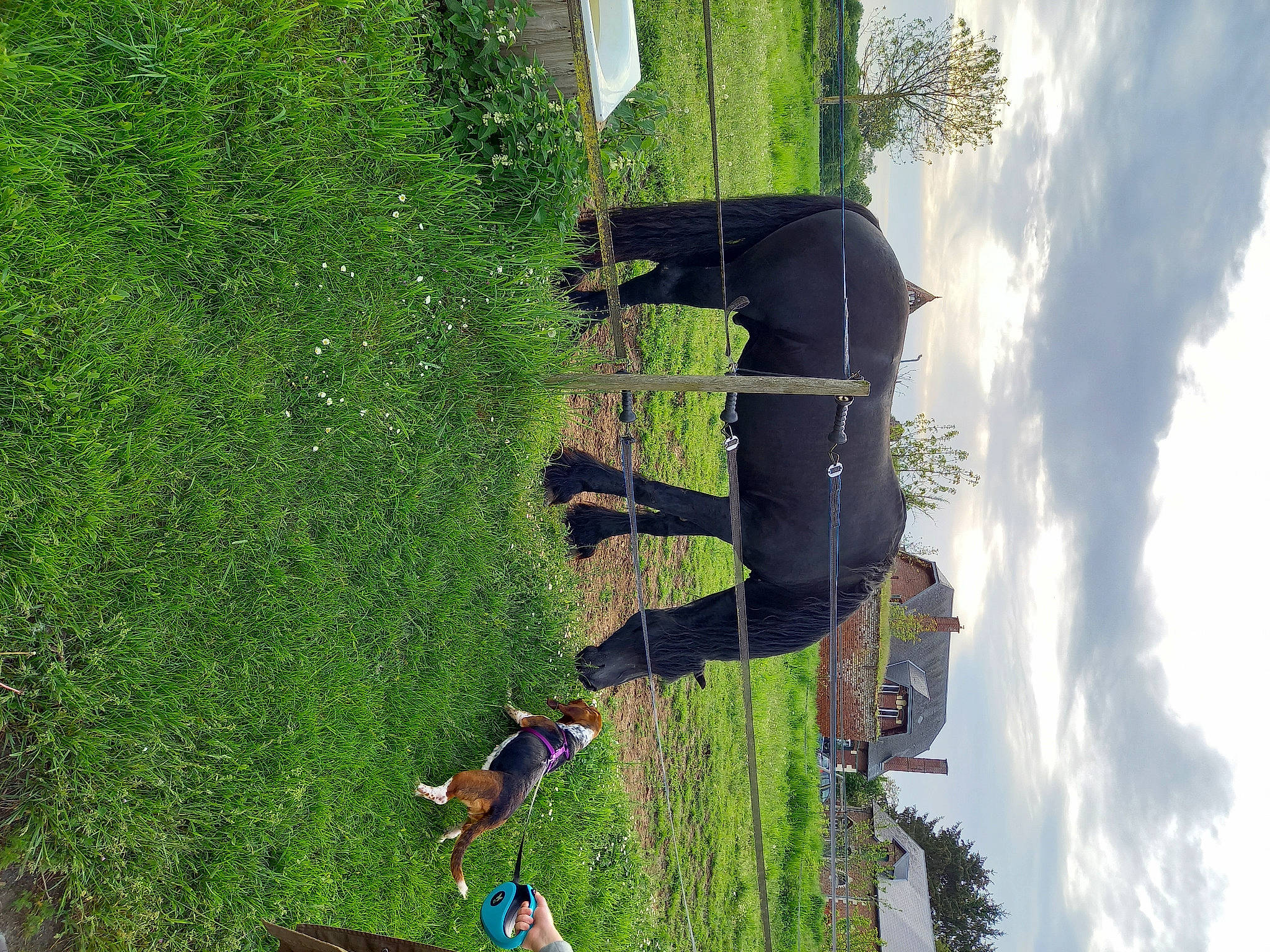 Lila participe au concours pour gagner de l'argent avec cette photo : adventure, biome, cloud, extreme_sport, fun, grass, grassland, green, landscape, leisure, people_in_nature, plant, recreation, reflection, shadow, shrub, sky, tree, vegetation, water