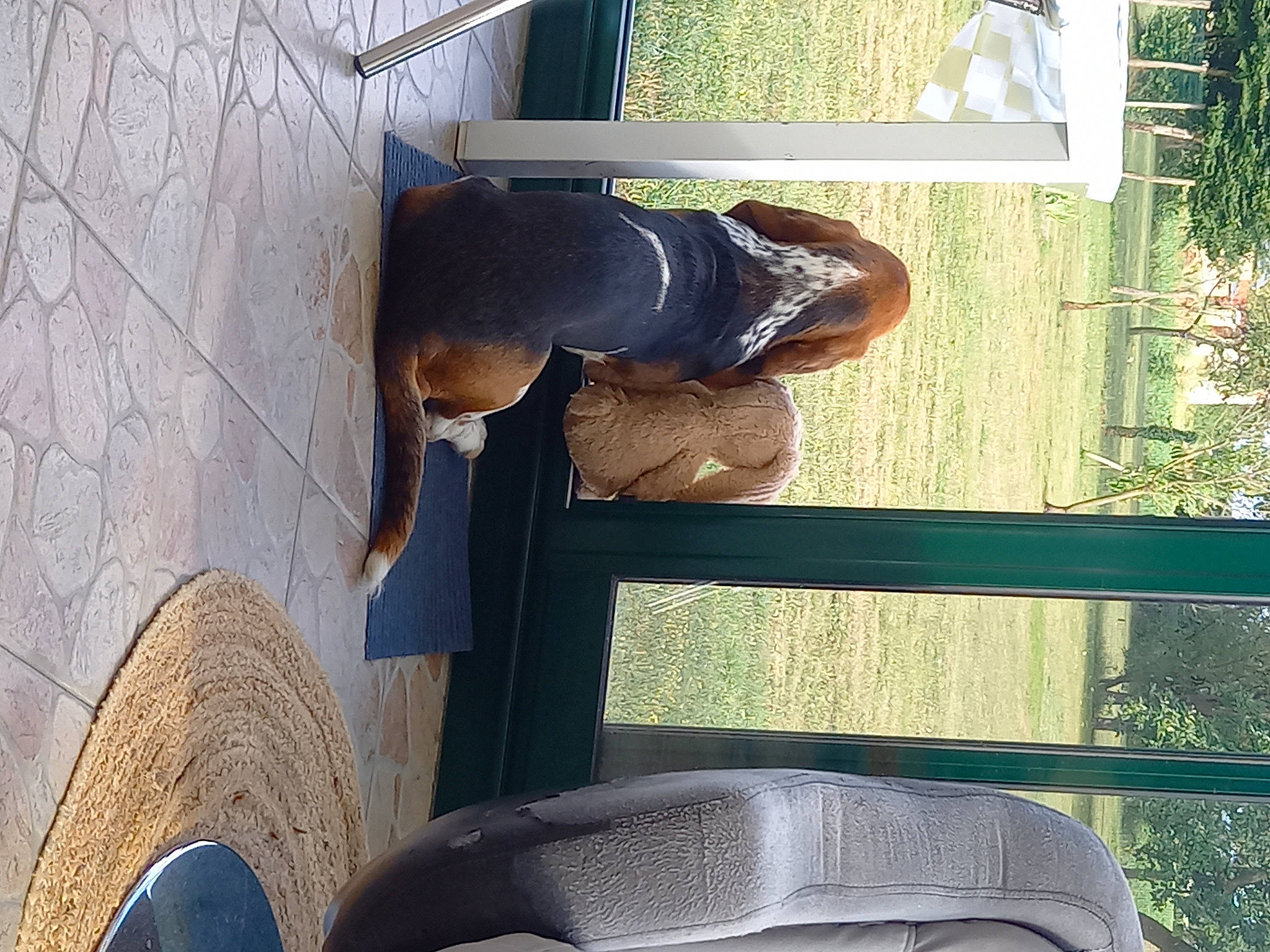 Lila participe au concours pour gagner de l'argent avec cette photo : auto_part, automotive_exterior, automotive_tire, automotive_wheel_system, bumper, door, elbow, foot, hat, human_leg, metal, synthetic_rubber, thigh, tints_and_shades, tire, tread, vehicle_door, waist, window, wood