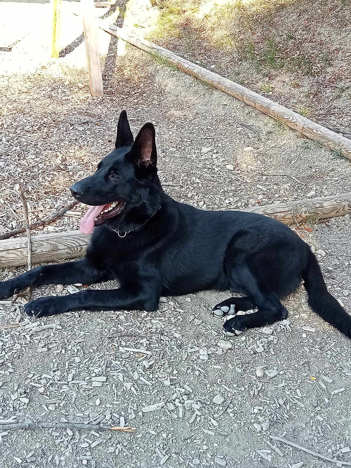 Helios
