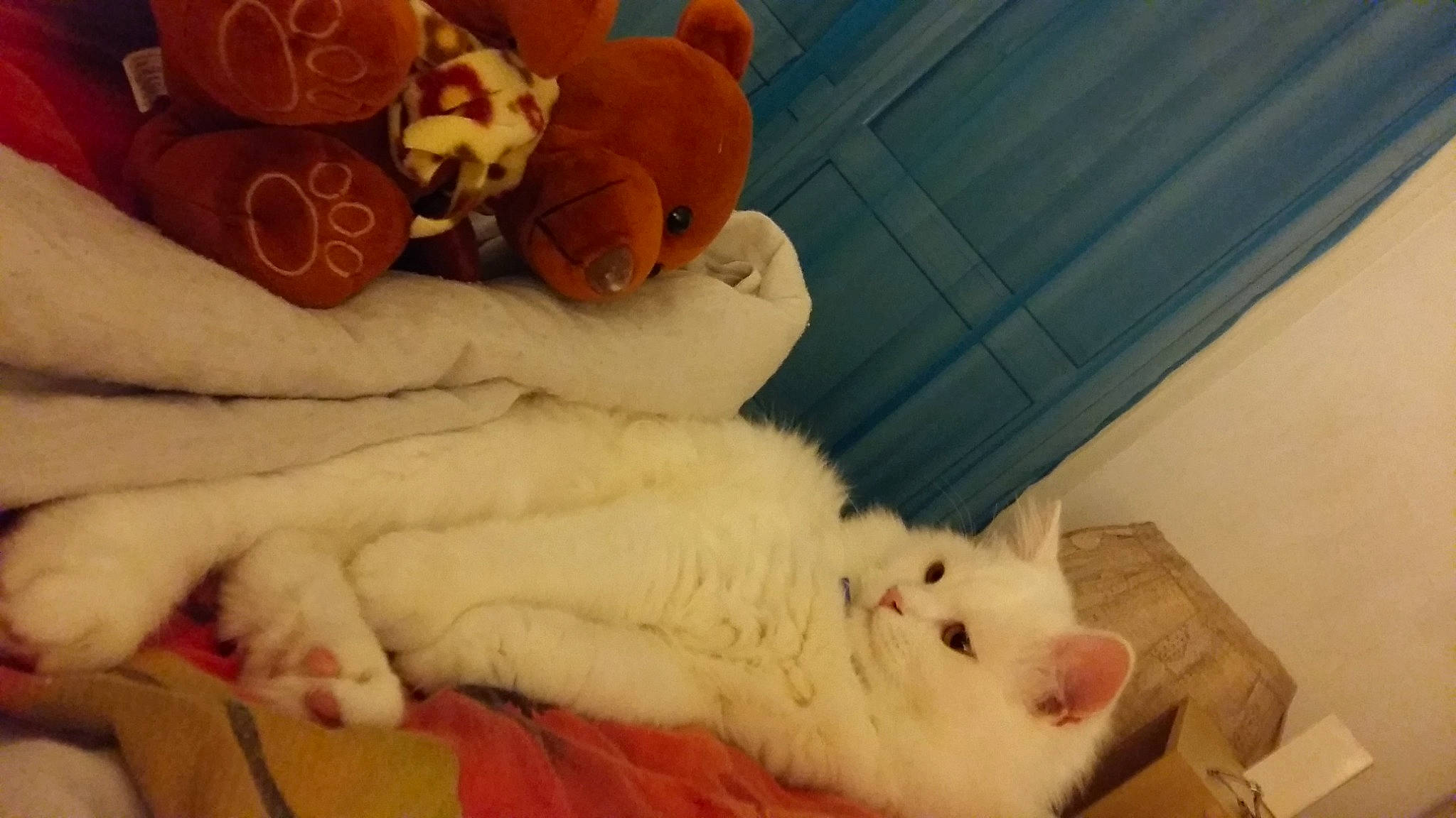 Garfield