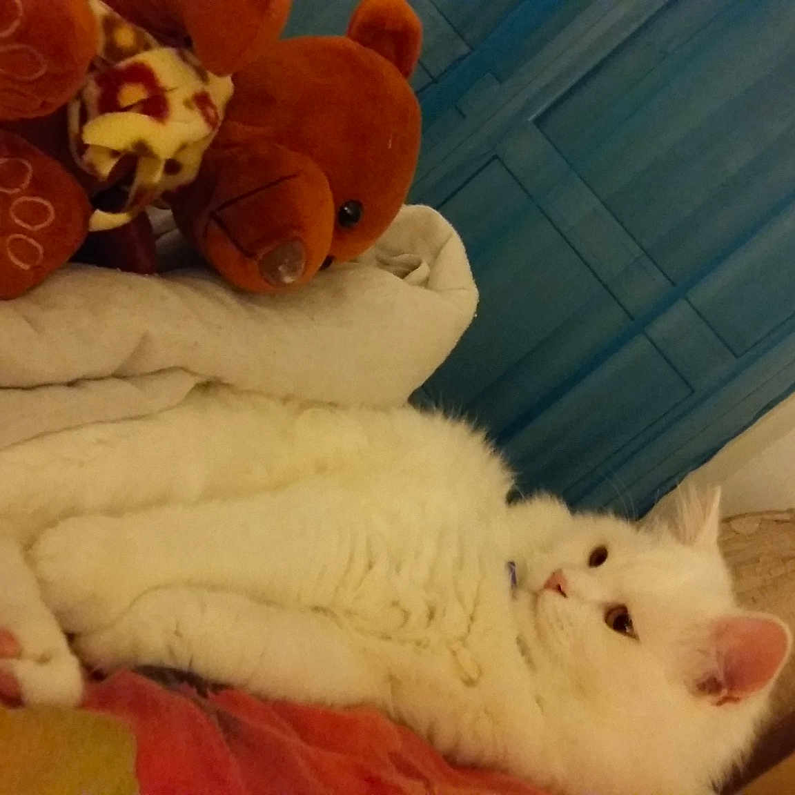 Garfield