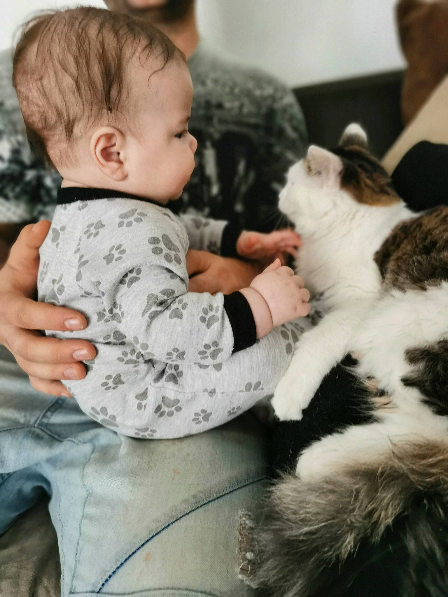 William a rejoint le concours — aidez-le/la à gagner de superbes lots ! baby, baby_toddler_clothing, carnivore, cat, child, comfort, companion_dog, dog_breed, felidae, fur, gesture, happy, hug, lap, person, sitting, sleeve, small_to_medium_sized_cats, toddler, toy