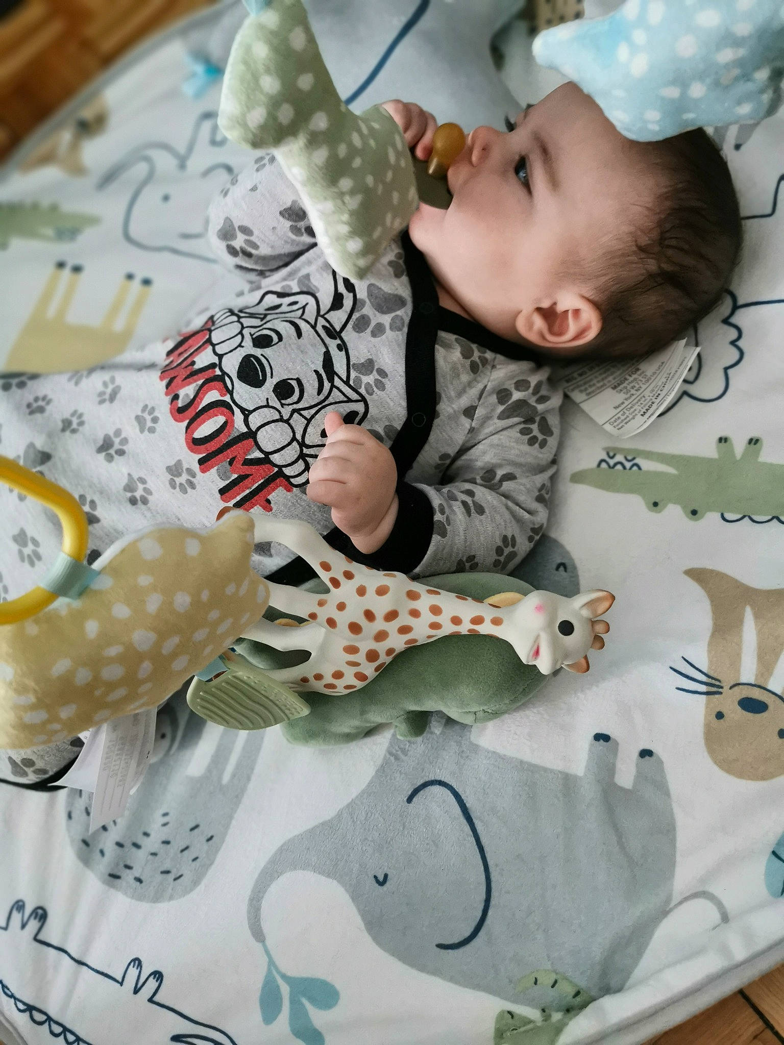 William participe au concours pour gagner de l'argent avec cette photo : baby, baby_products, baby_sleeping, baby_toddler_clothing, child, comfort, comfort_food, design, font, fur, happy, illustration, linens, pattern, person, product, sitting, sleeve, textile, toddler