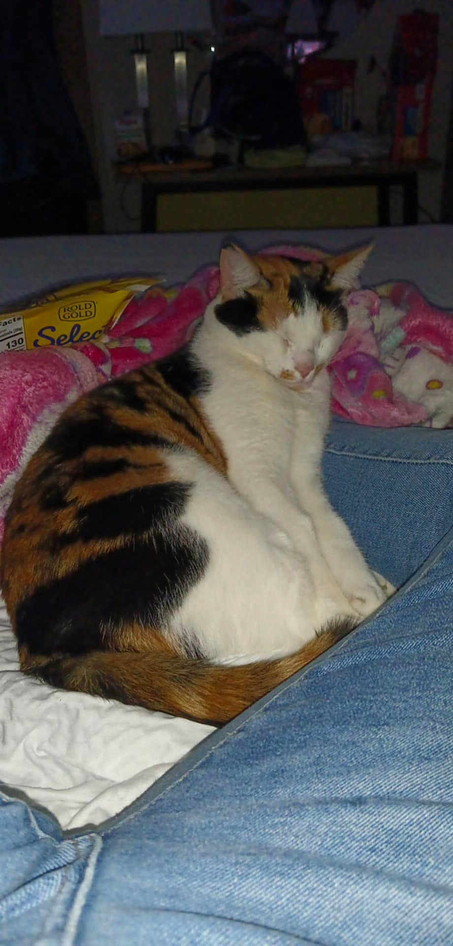Delilah