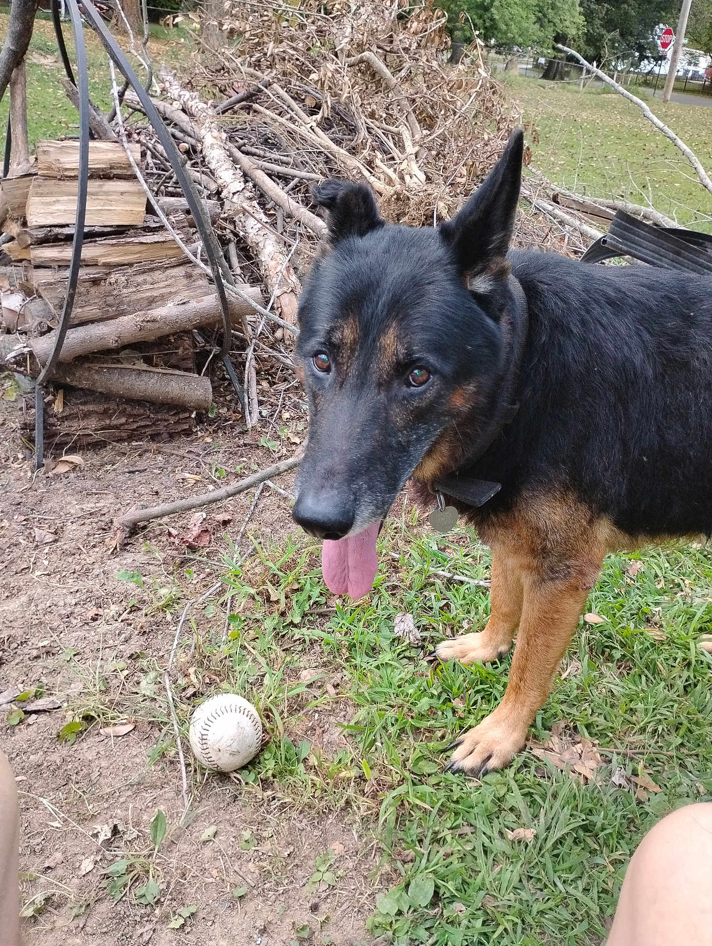 Roscoe