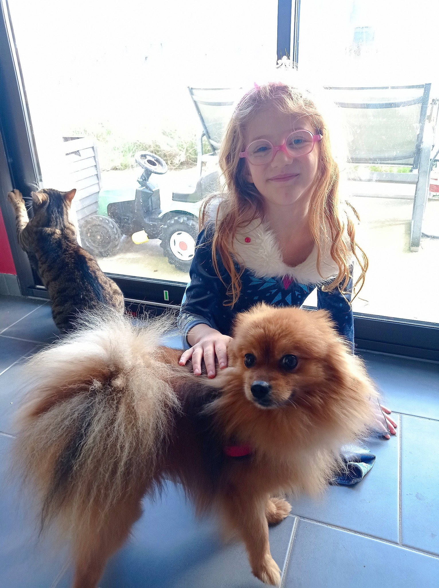 Valentina a rejoint le concours — aidez-le/la à gagner de superbes lots ! carnivore, companion_dog, dog, dog_breed, fawn, fur, german_spitz, german_spitz_klein, german_spitz_mittel, glasses, joy, liver, person, skin, smile, snout, spitz, sporting_group, sunglasses, toy_dog