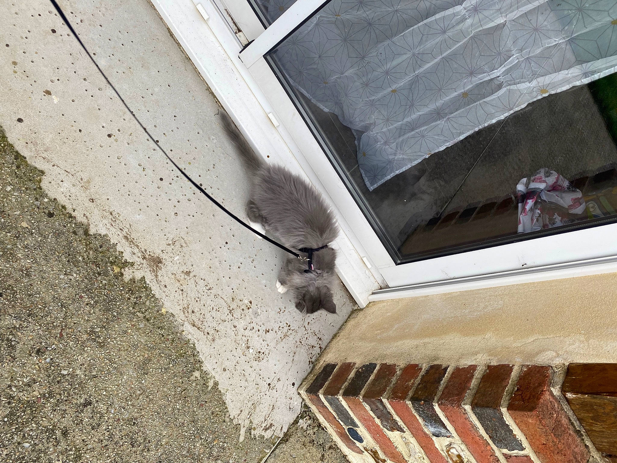 Sissy participe au concours pour gagner de l'argent avec cette photo : asphalt, automotive_exterior, automotive_tire, building, bumper, composite_material, concrete, facade, gas, glass, metal, rectangle, road_surface, roof, sash_window, tints_and_shades, vehicle_door, wall, window, wood