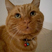 Wilfried a rejoint le concours — aidez-le/la à gagner de superbes lots !