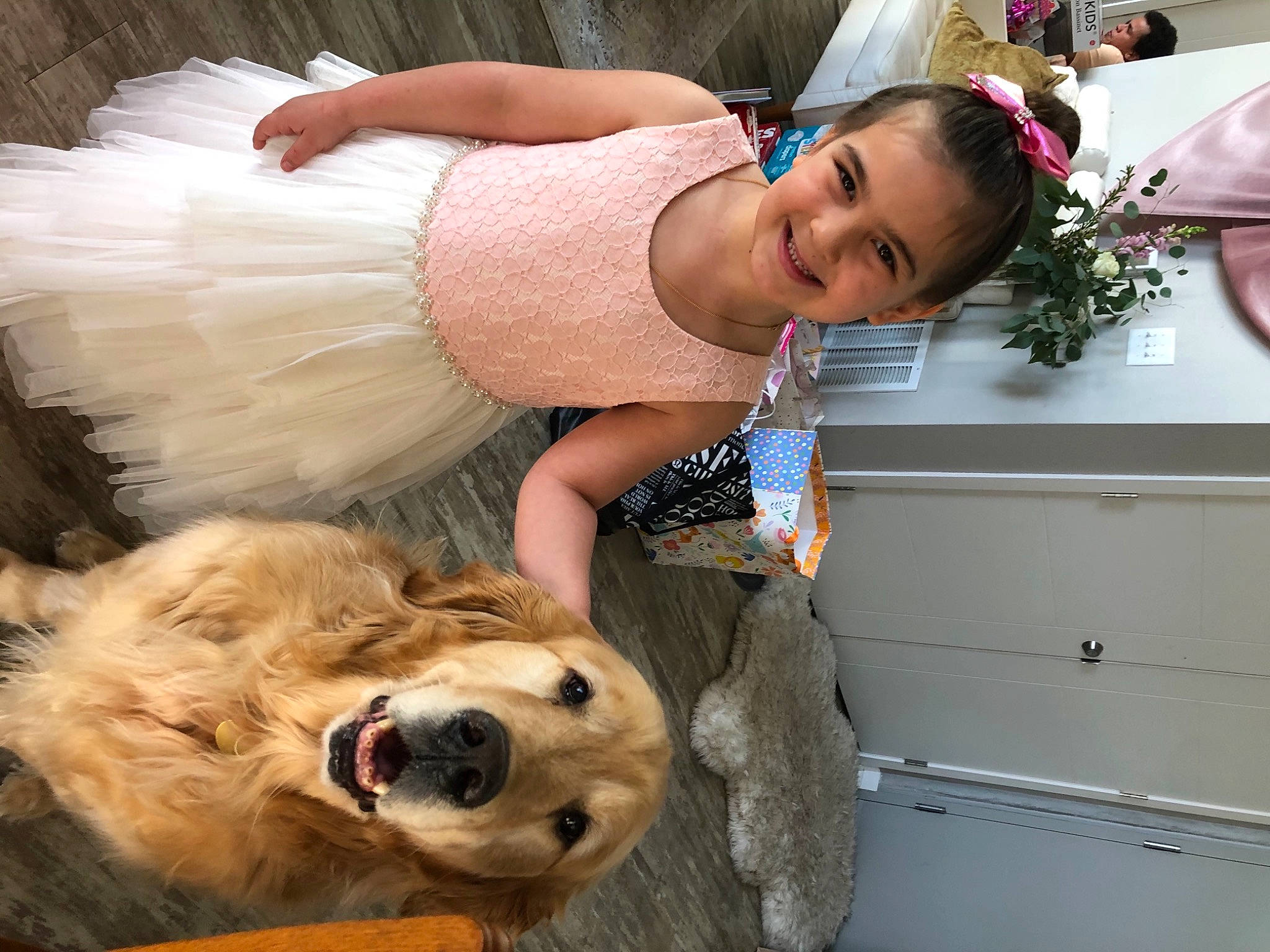 Kairalina is registered to the contest to win money with this photo: cabinetry, carnivore, chair, child, companion_dog, dog, dog_breed, fawn, fun, fur, happy, hat, houseplant, joy, person, plant, sitting, smile, snout, sporting_group