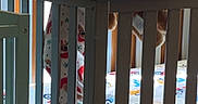 Kouda is registered to the contest to win money with this photo: toddler, crib, teddy_bear, pajamas, child, bedroom, wood_paneling, daylight, toy, smile, infant, furniture, sleepwear, cute, indoor, baby, standing, person, cozy, room