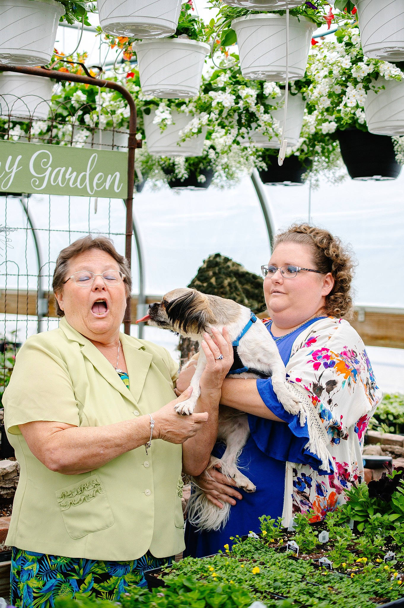 Benji is registered to the contest to win money with this photo: adaptation, botany, community, daytime, event, facial_expression, floristry, flower_arranging, fun, garden, grass, happy, interaction, lawn, leisure, nature, people_in_nature, photograph, plant, summer