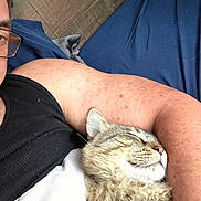 Leo is registered to the contest to win money with this photo: arm, bed_sheet, black_tank_top, blue_bed_sheet, cat, close_up, comfort, content, cozy, cuddle, fur, glasses, indoor, person, pet, relaxation, resting, sleeping, tabby_cat, wooden_floor