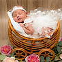newborn, baby, sleeping, basket, white_dress, headband, flowers, wooden_floor, wicker, carriage, portrait, cute, infant, peaceful, decor, soft_lighting, floral, resting, baby_photography, adorable