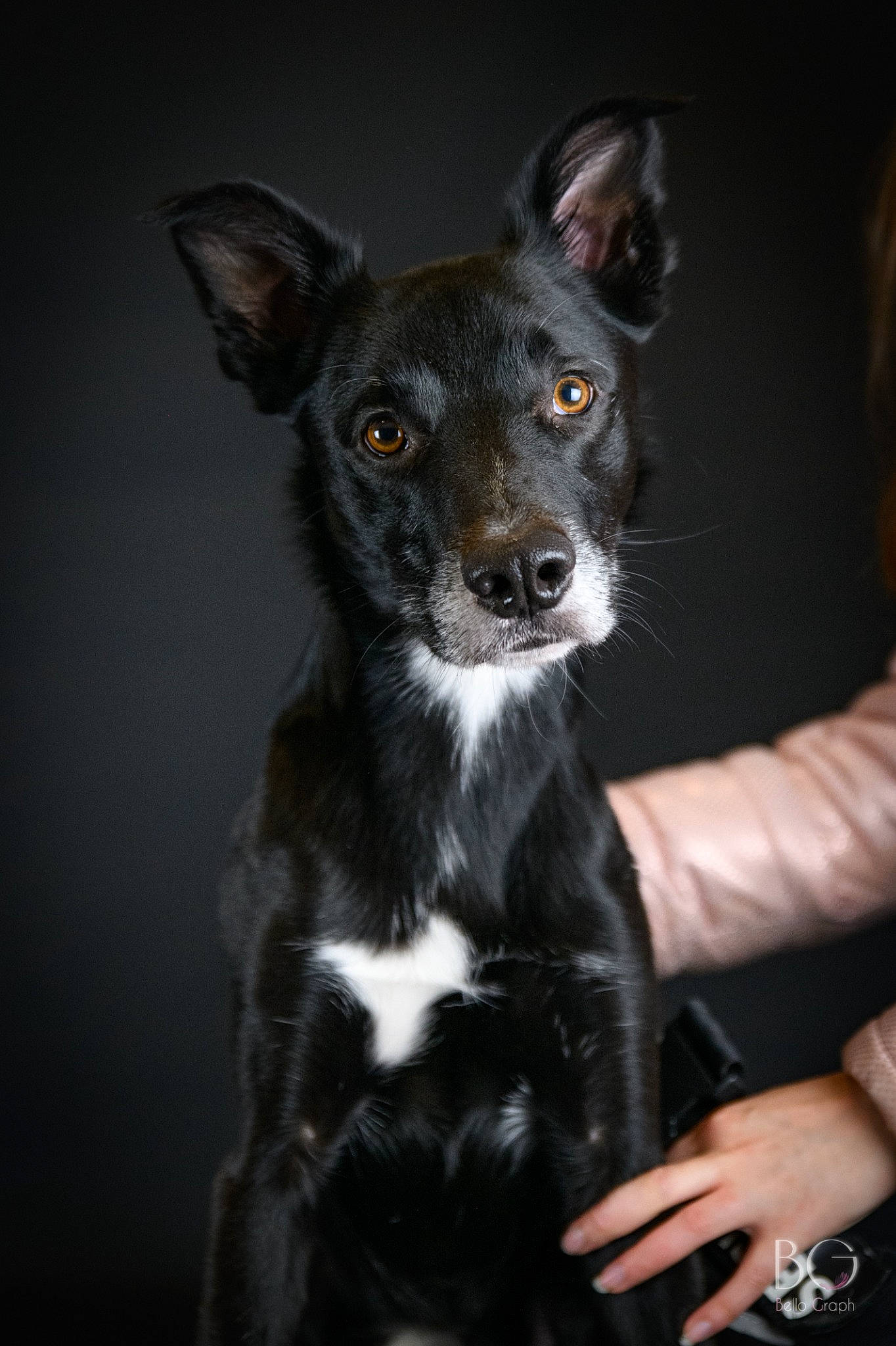 Sirius