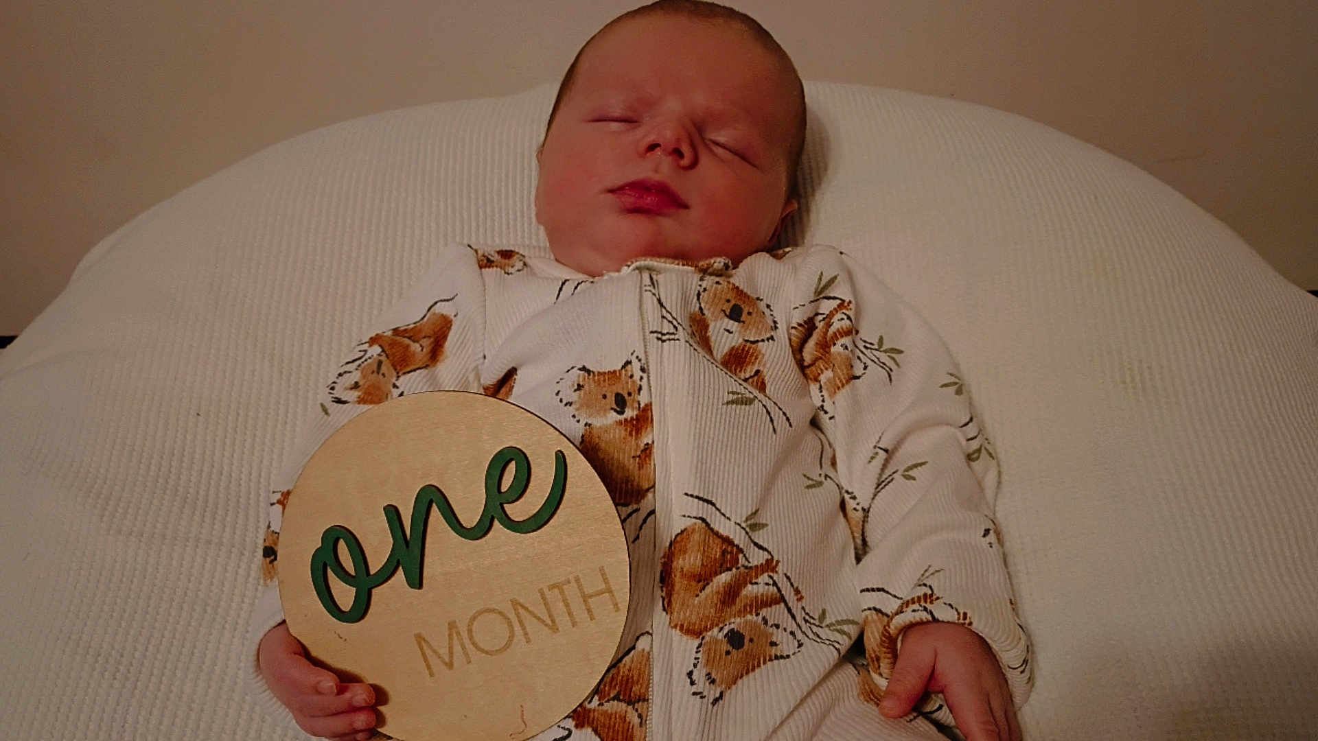 Joseph joined the competition — help win amazing prizes! baby, sleeping, infant, onesie, koala_pattern, wooden_sign, month_marker, hand, face, cushion, white_background, cozy, cute, newborn, resting, child, portrait, indoor, soft_texture, peaceful