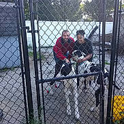 One Hundred Two is registered to the contest to win money with this photo: chain_link_fence, gate, two_people, dogs, black_and_white_dogs, outdoor, yard, trees, shed, gravel_ground, casual_clothing, smiling, petting, leash, daytime, fence_post, yellow_bucket, grass, happy, nature