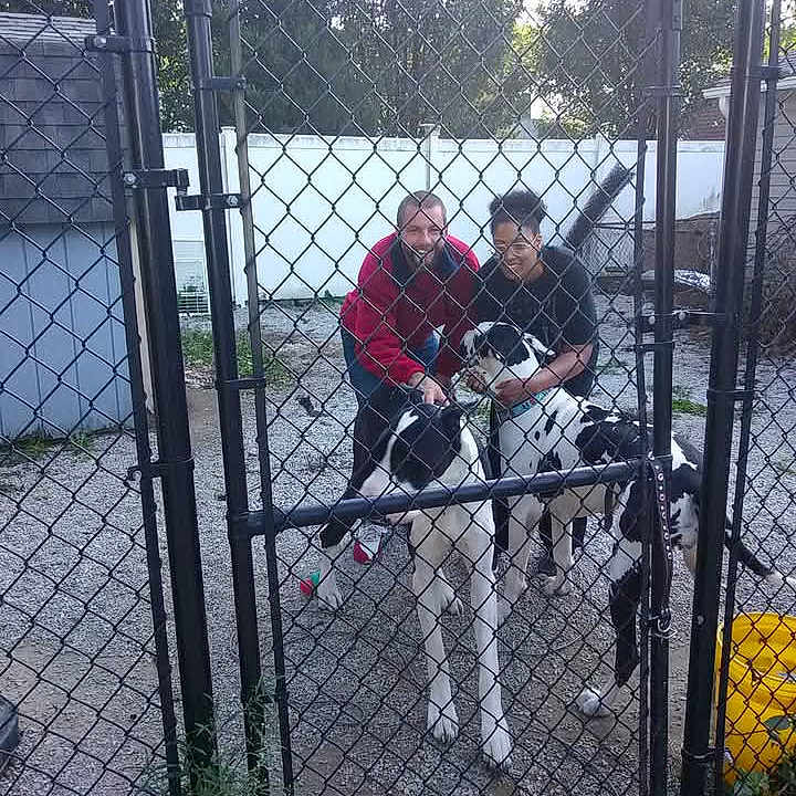 One Hundred Two is registered to the contest to win money with this photo: black_and_white_dogs, casual_clothing, chain_link_fence, daytime, dogs, fence_post, gate, grass, gravel_ground, happy, leash, nature, outdoor, petting, shed, smiling, trees, two_people, yard, yellow_bucket