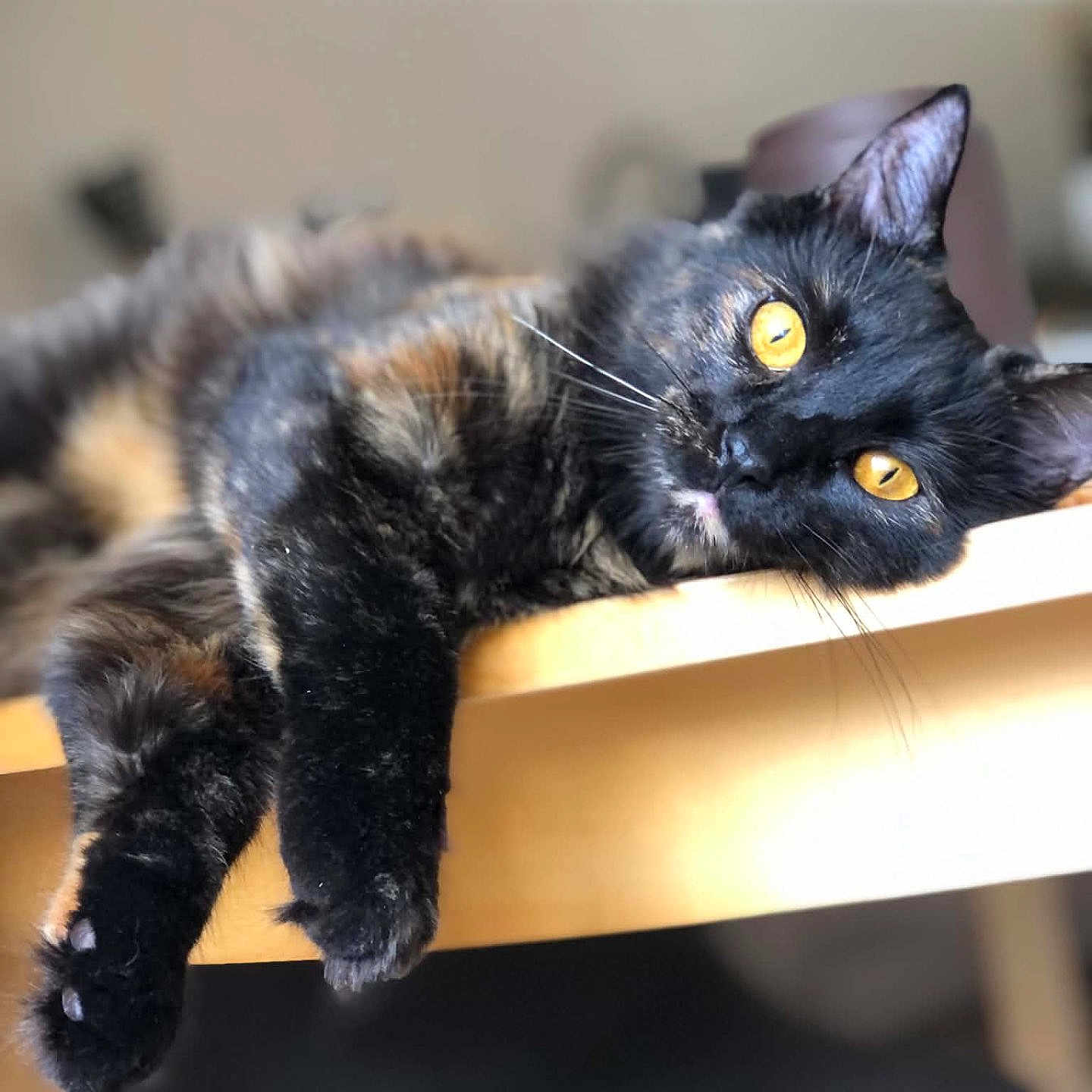 Kiara