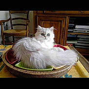 Gaia participe au concours pour gagner de l'argent avec cette photo :