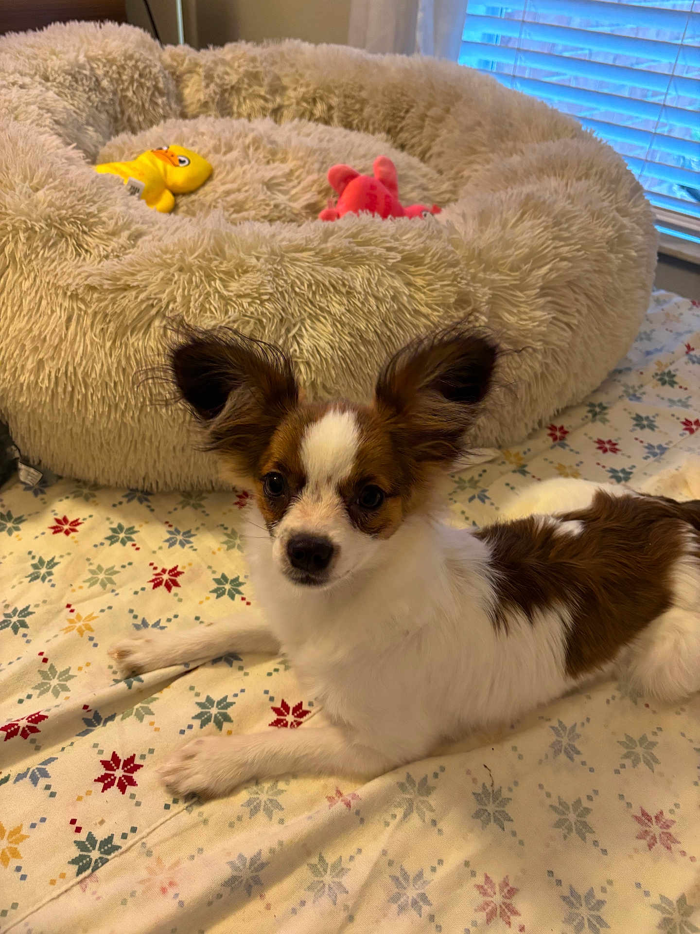 Lucy