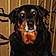 Marley