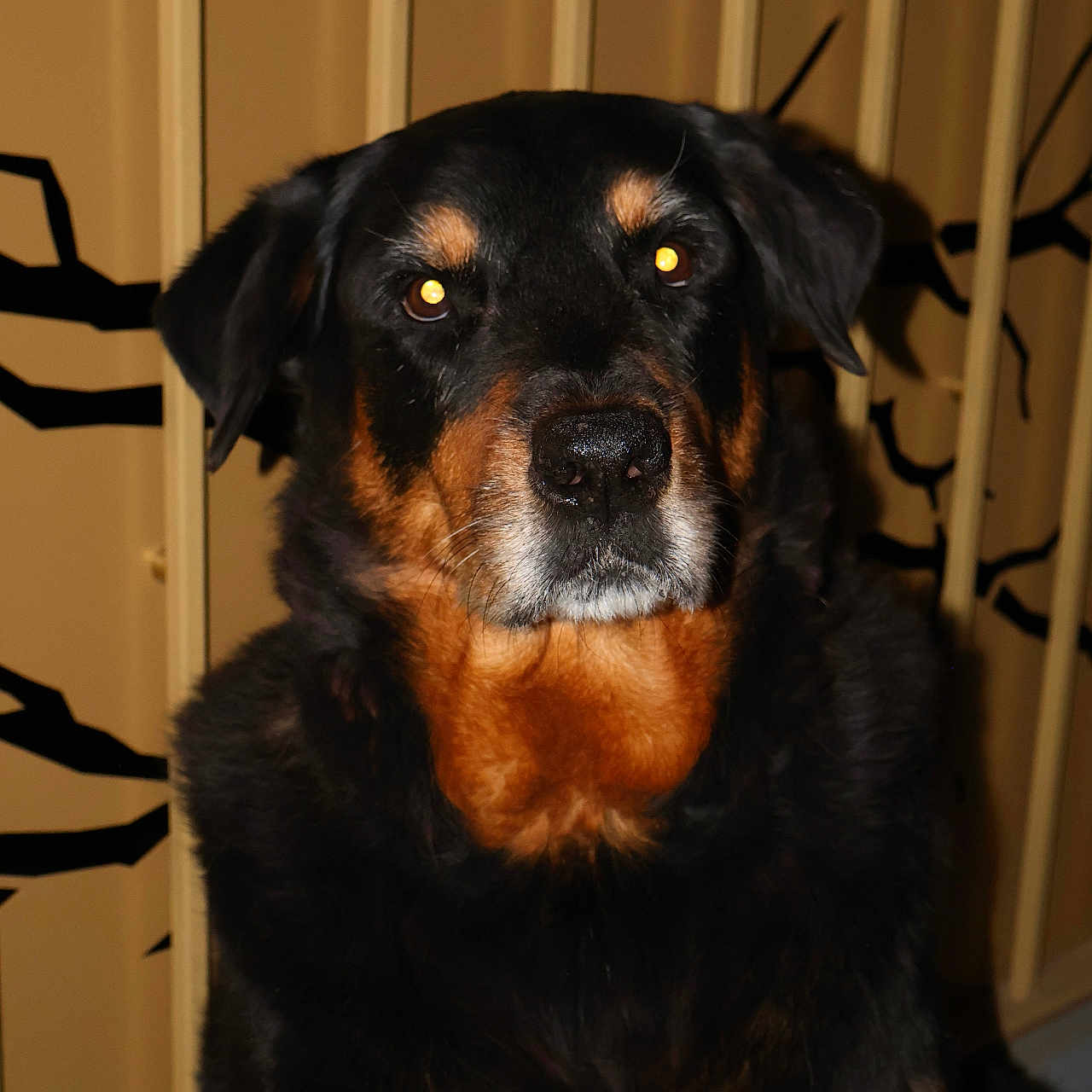 Marley