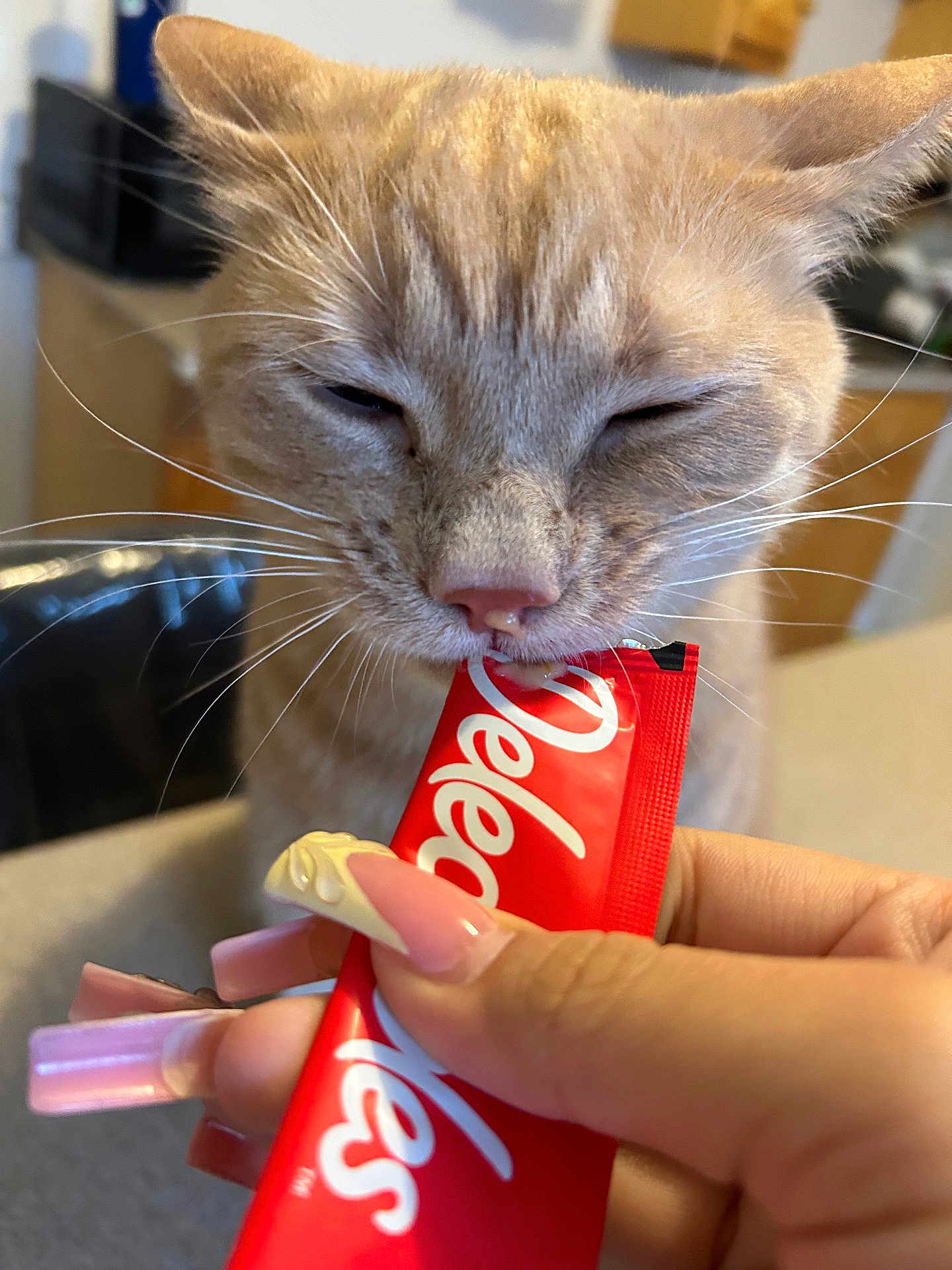 Milo