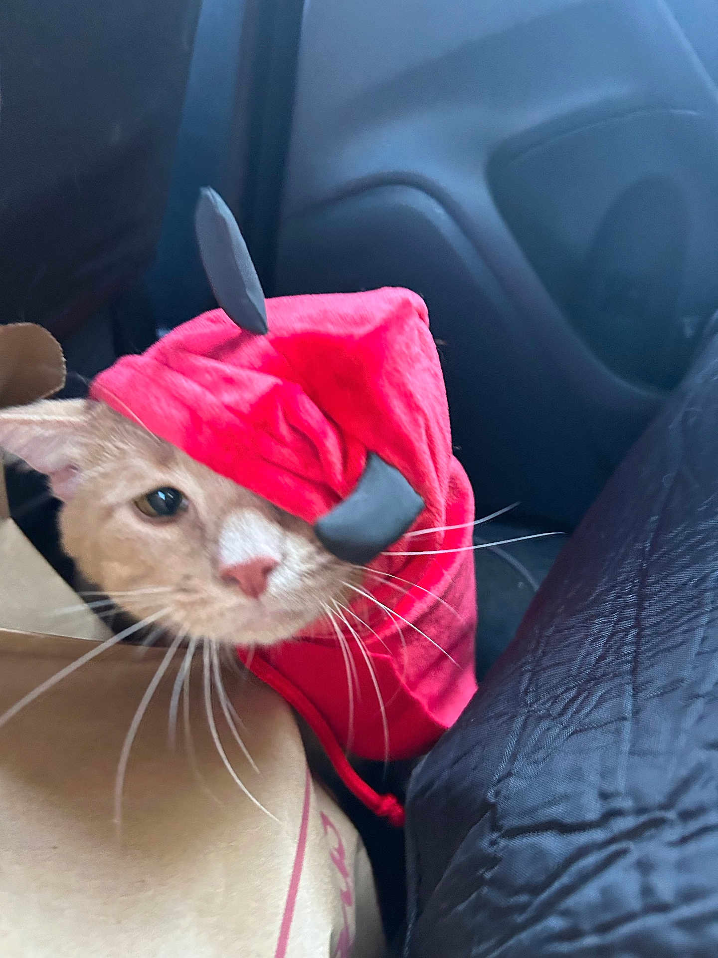 Milo