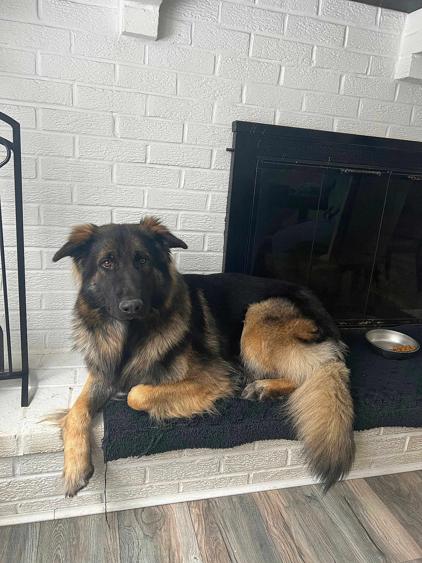 Rocky is registered to the contest to win money with this photo: dog, german_shepherd, pet, indoor, fireplace, white_brick, wood_floor, black_mat, dog_bowl, kibble, canine, fur, animal, relaxed, lying_down, brown, black, ears, tail, companion