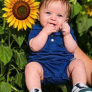 Grant is registered to the contest to win money with this photo: baby, blue_eyes, blue_outfit, child, fingers, flowers, garden, greenery, hands, happy, infant, leaves, nature, outdoor, portrait, romper, sitting, smiling, sneakers, sunflower