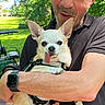 bracelet, casual_clothing, chihuahua, daylight, dog, greenery, happy, holding, man, nature, outdoor, park, pet, portrait, small_dog, smiling, sunglasses, sunlight, tongue_out, watch