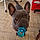 Walter