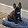 Jewels