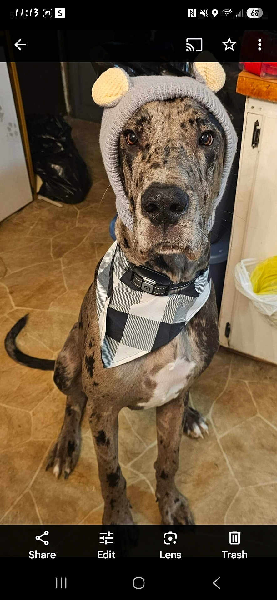 Duke