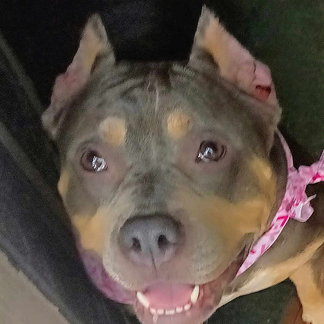 Ruby Ann