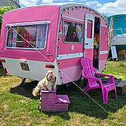Oh-Zanna a rejoint le concours — aidez-le/la à gagner de superbes lots ! dog, pink_caravan, outdoor, grass, pink_chair, small_steps, boat, blue_sky, clouds, curtains, flowers, license_plate, wooden_steps, daytime, greenery, garden, pet, sunny, animal, leash