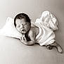 baby, blanket, child, cozy, cute, human, infant, monochrome, newborn, peace, peaceful, pillow, portrait, resting, skin, sleeping, small, soft, toddler, wrapped