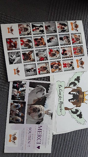 New Royalty a rejoint le concours — aidez-le/la à gagner de superbes lots ! collection, comfort_food, cuisine, dish, eyewear, finger_food, font, insect, material_property, pattern, recipe, room, tableware, textile