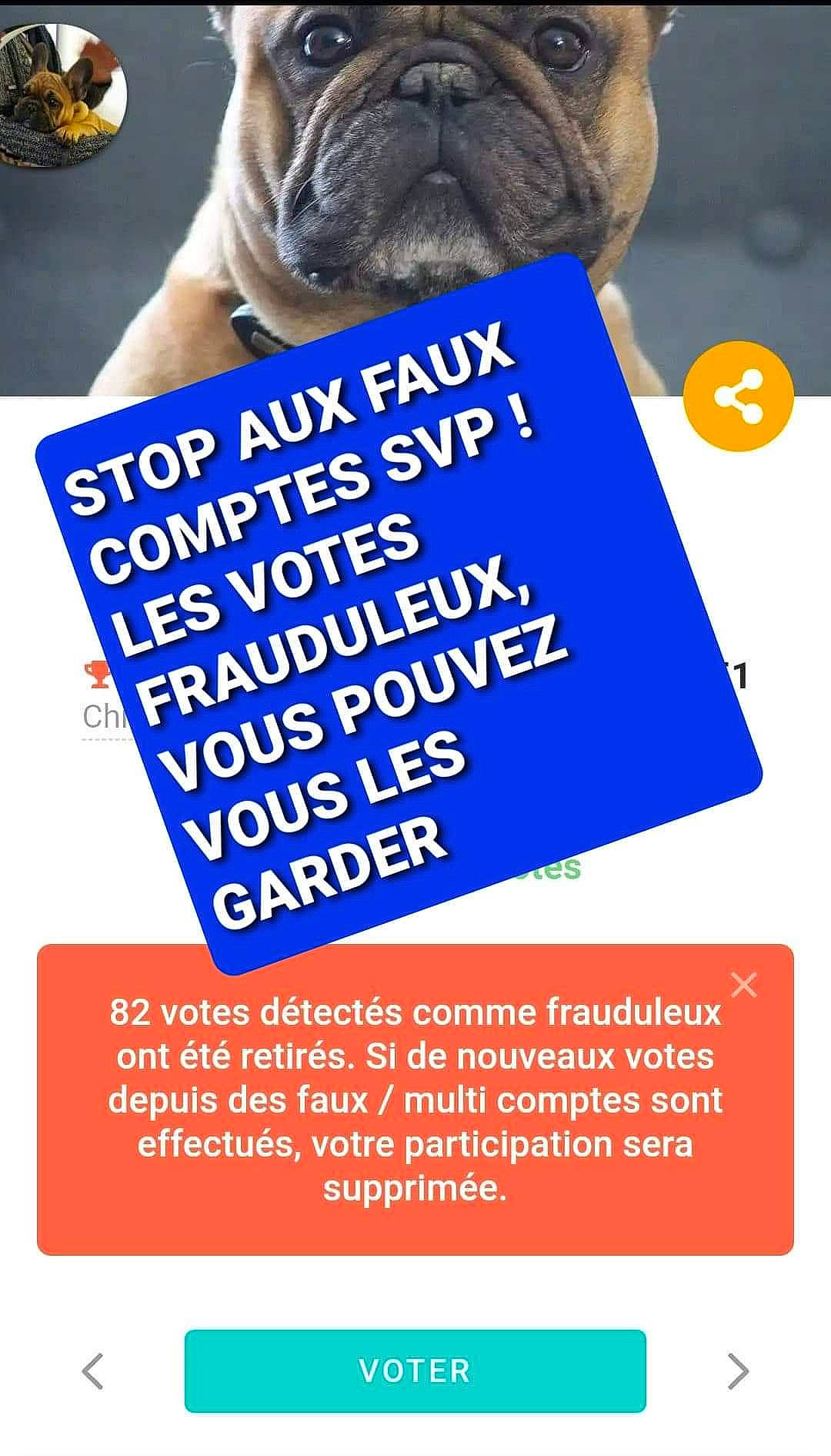 New Royalty participe au concours pour gagner de l'argent avec cette photo : advertising, canidae, carnivore, companion_dog, dog, dog_breed, dog_supply, electric_blue, font, logo, paw, pet_supply, photo_caption, poster, publication, pug, screenshot, sporting_group, whiskers, wrinkle