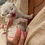 baby_animal, beige_clothing, closeup, cross_pendant, cute, fabric, furry, gentle, hand, holding, human_skin, kitten, necklace, outdoor, pet, small_animal, soft_texture, tender, white_fur, yawning