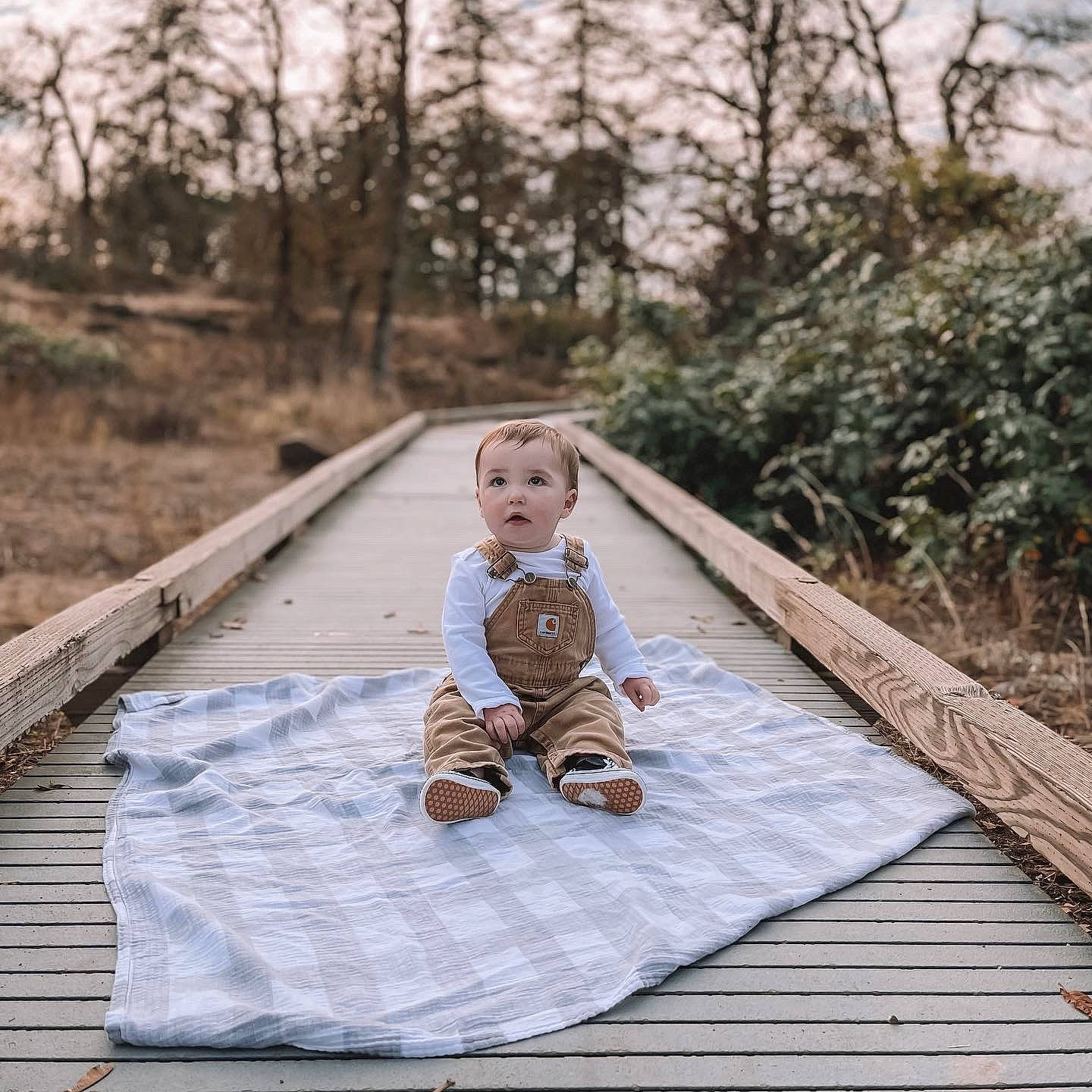 Blake joined the competition — help win amazing prizes! baby, child, eye, forest, fun, grass, happy, landscape, leaf, leisure, people_in_nature, person, plant, portrait_photography, recreation, sitting, toddler, tree, winter, wood