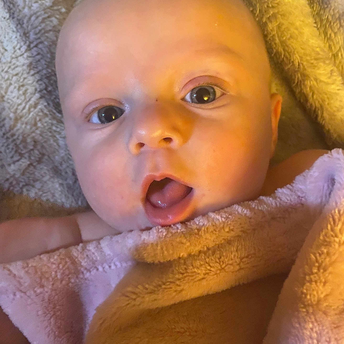 Harper