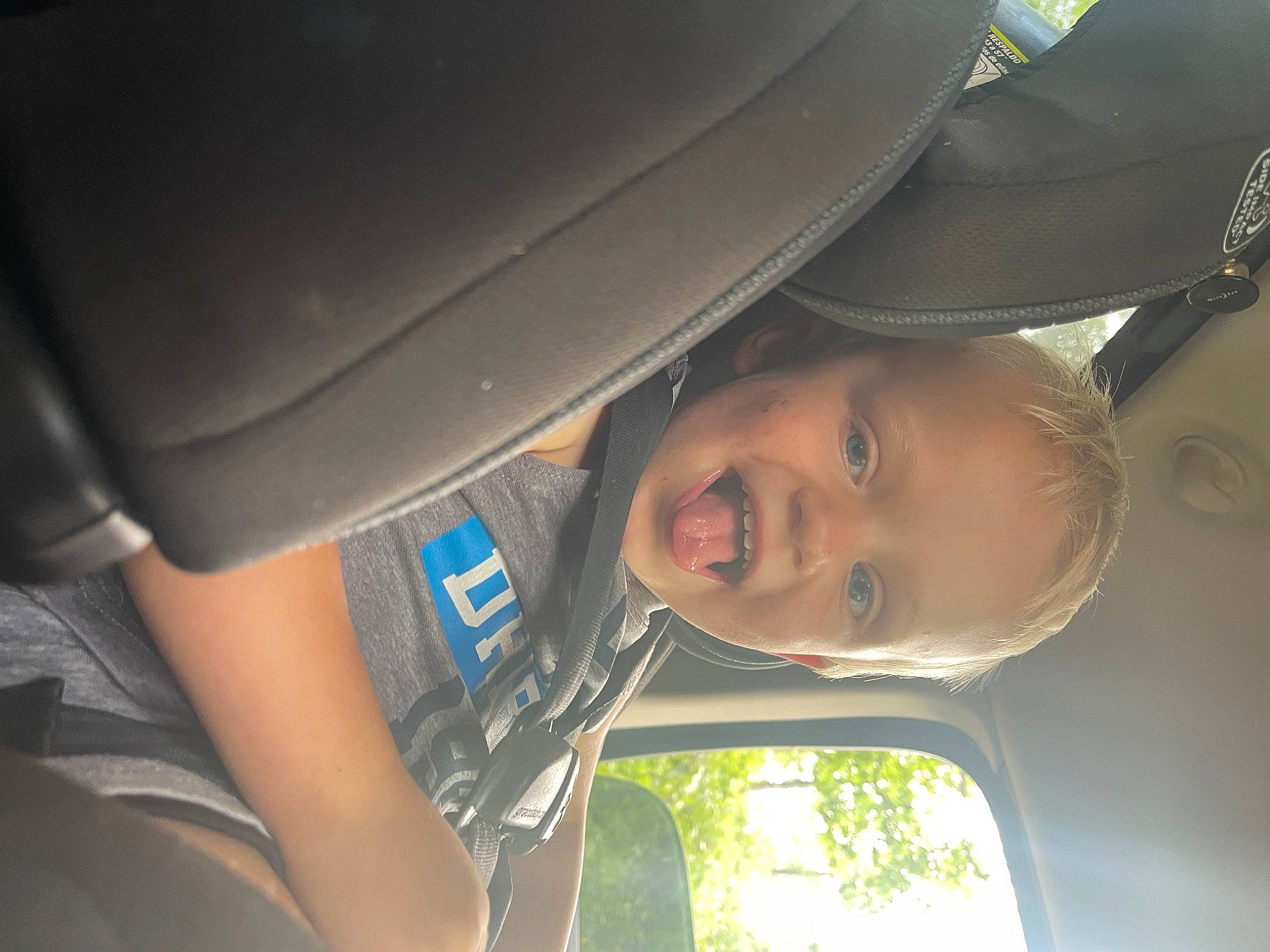 Gabe joined the competition — help win amazing prizes! auto_part, automotive_exterior, automotive_window_part, car, car_seat, car_seat_cover, comfort, family_car, hat, head_restraint, luxury_vehicle, motor_vehicle, person, plant, smile, tints_and_shades, tree, vehicle, vehicle_door, window