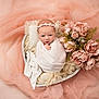 Aurora joined the competition — help win amazing prizes! newborn, baby, wrapped, blanket, heart_shaped_basket, flowers, pink_flowers, fluffy, soft_texture, headband, portrait, infant, cute, tulle, fabric, delicate, peaceful, small_hand, baby_face, studio_photography