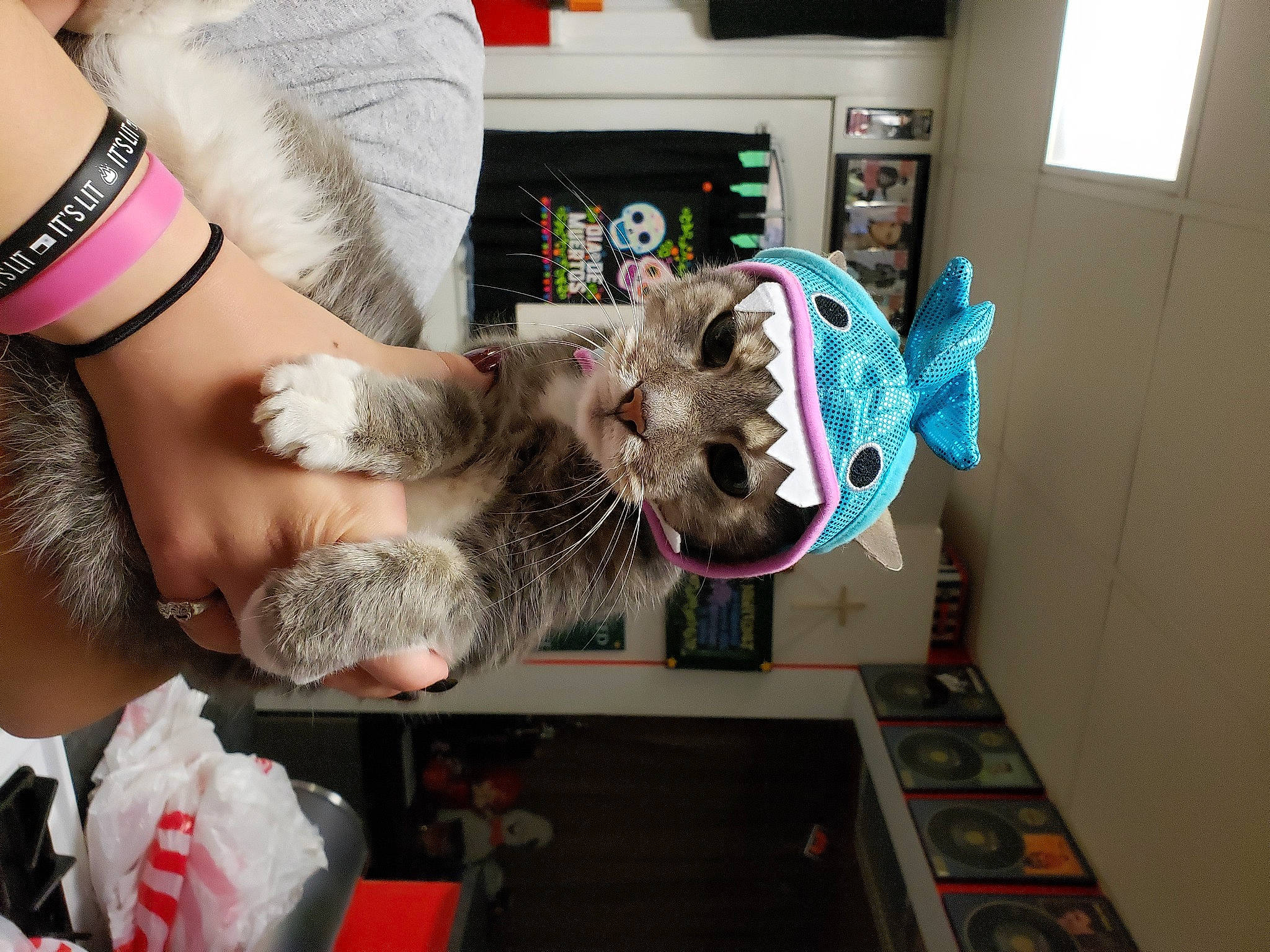 Romeo joined the competition — help win amazing prizes! child, elbow, event, eyewear, fashion_accessory, flesh, fun, fur, gesture, hairstyle, machine, mouth, nail, pattern, personal_protective_equipment, room, temporary_tattoo, thumb, visual_arts, wrist