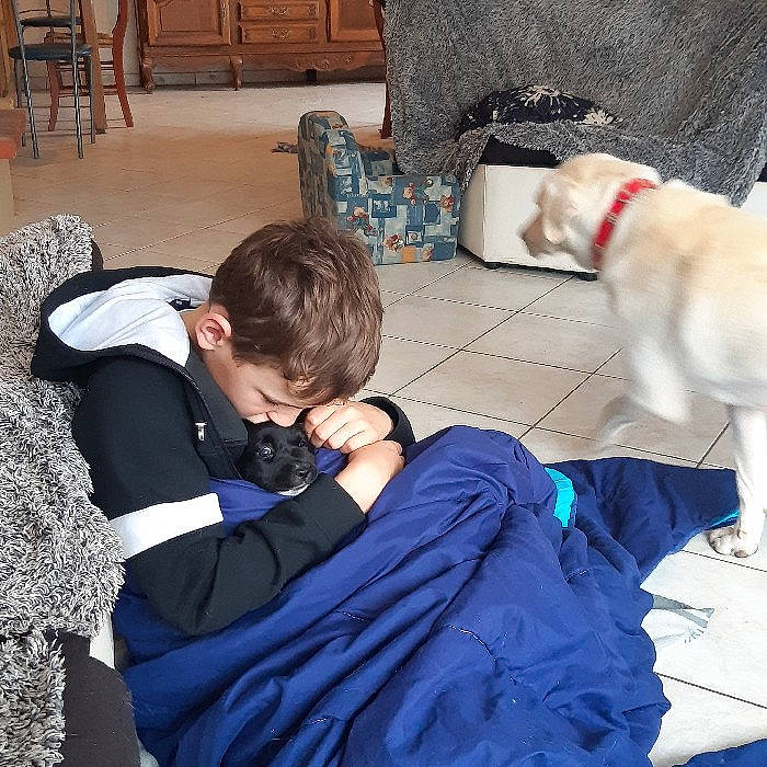 Jessy a rejoint le concours — aidez-le/la à gagner de superbes lots ! carnivore, child, comfort, companion_dog, dog, dog_breed, electric_blue, flooring, fun, fur, lap, leash, leisure, luggage_and_bags, mammal, room, sitting, toddler