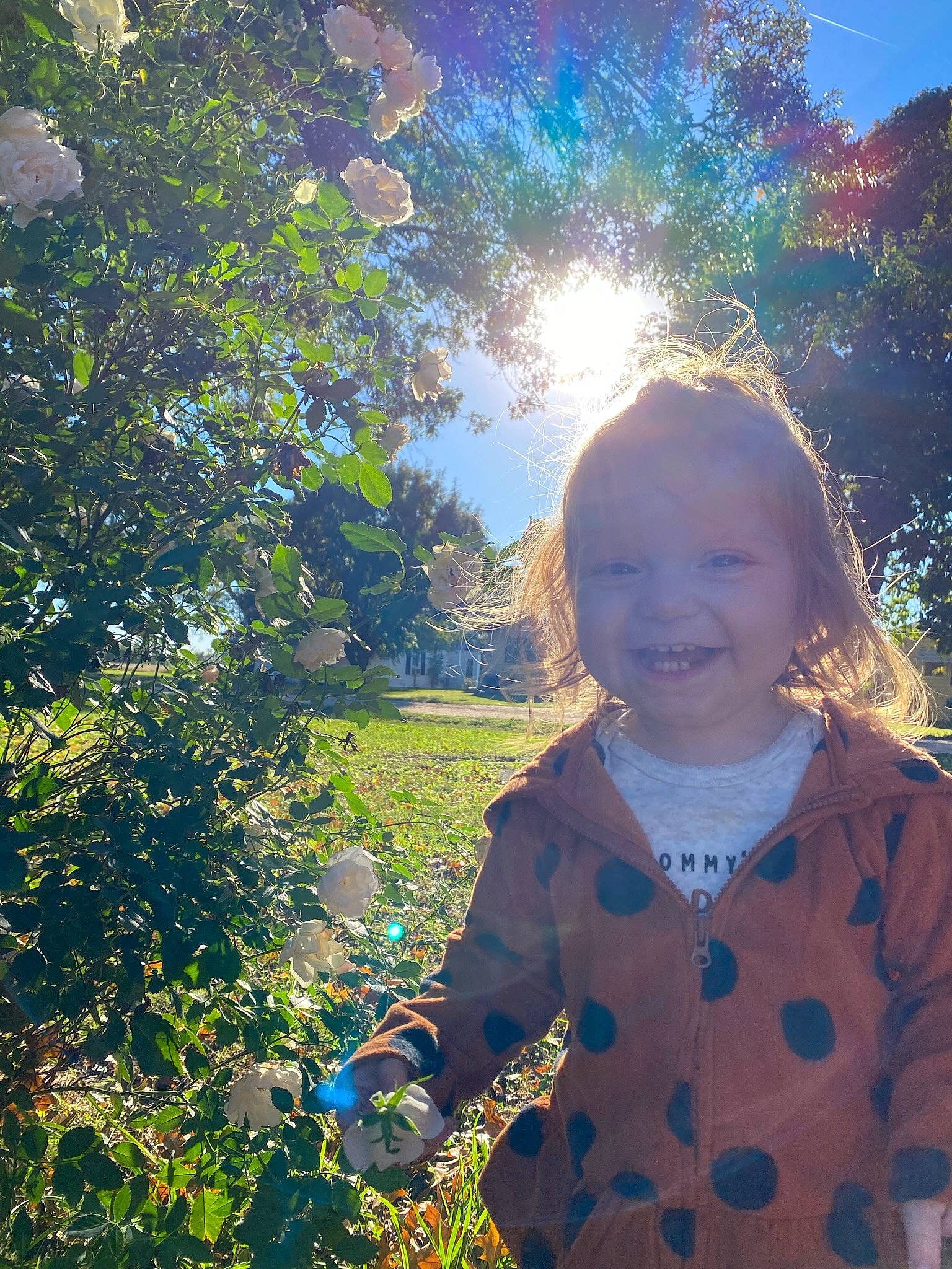 Camryn joined the competition — help win amazing prizes! baby_toddler_clothing, botany, branch, electric_blue, fun, grass, grass_family, happy, joy, light, morning, nature, people_in_nature, person, plant, sky, smile, summer, sunlight, toddler