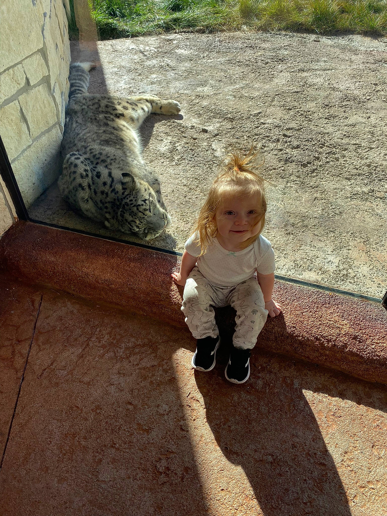 Camryn is registered to the contest to win money with this photo: asphalt, baby, baby_toddler_clothing, child, flooring, fun, grass, hairstyle, joy, leisure, outdoor_furniture, people_in_nature, person, recreation, reptile, road_surface, sitting, smile, soil, toddler